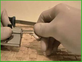 Oviedo Lock And Locksmith Oviedo, FL 407-362-0267